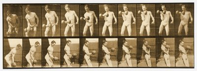 「動物の移動」シリーズ、1887年頃の画像 作： Eadweard Muybridge